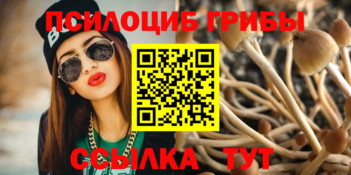 Галлюциногенные грибы Magic Shrooms  Галлюциногенные грибы мухоморы  Моздок  Вход с VPN 